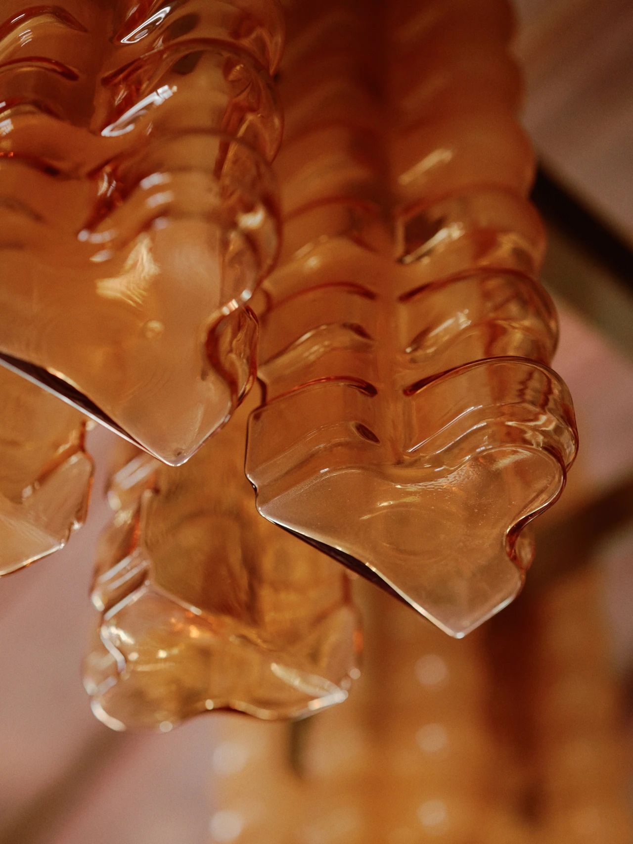 Hugo Toro 奇妙之旅丨法国-21