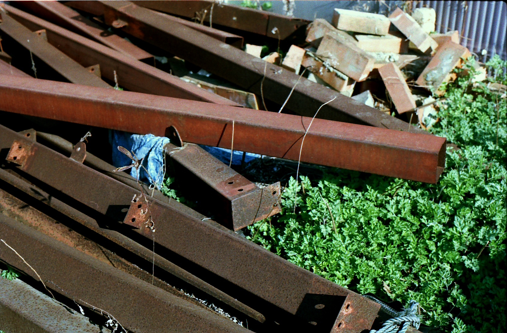 Film lives on.-19