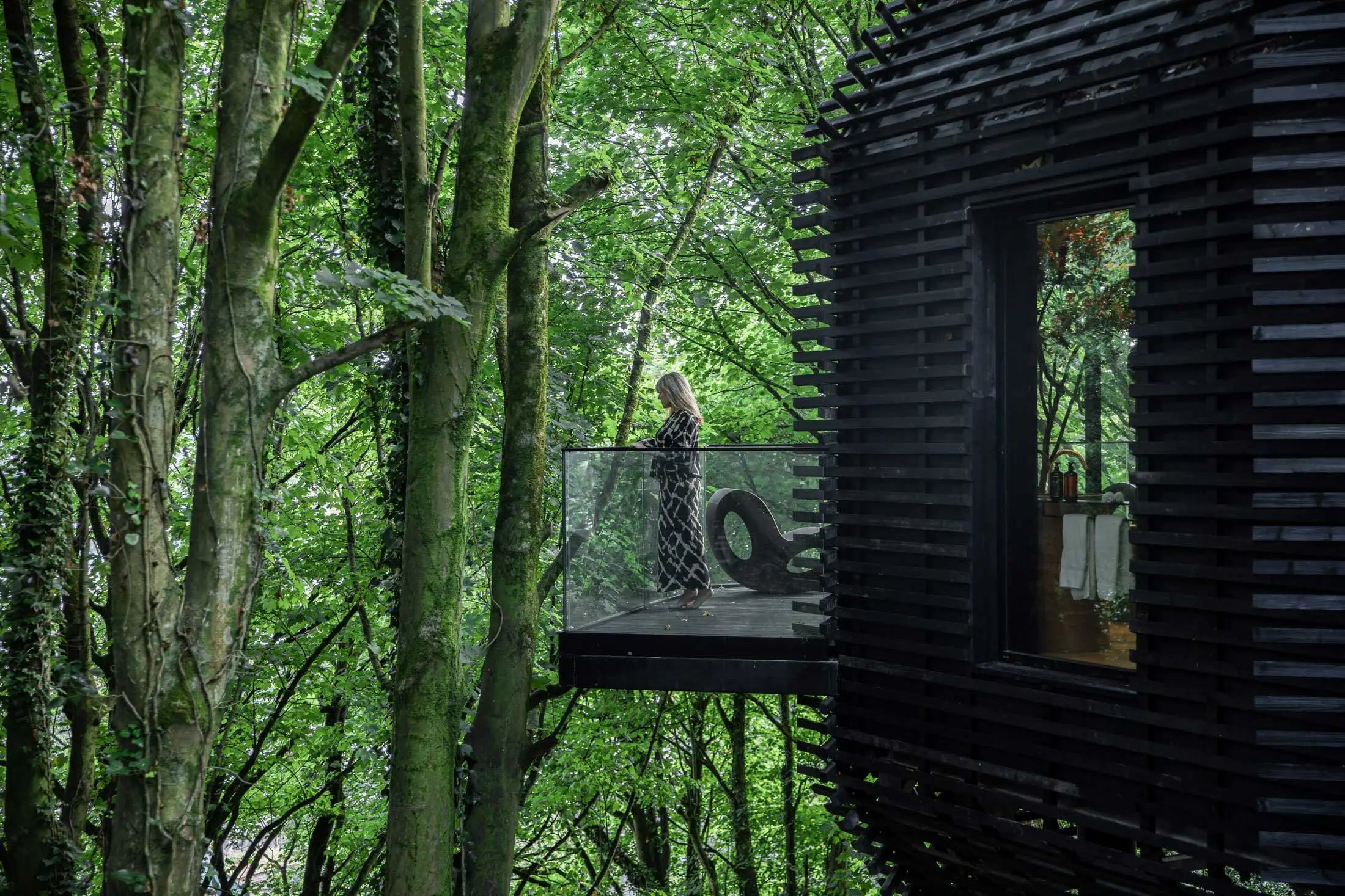 The Montenotte酒店林地套房丨爱尔兰科克丨Henry J Lyons建筑事务所,罗伊辛・拉弗蒂-16