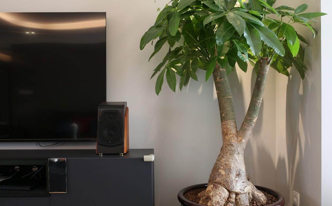 打造中式现代之家 | 水墨画、绿意与实用设计的完美融合-8