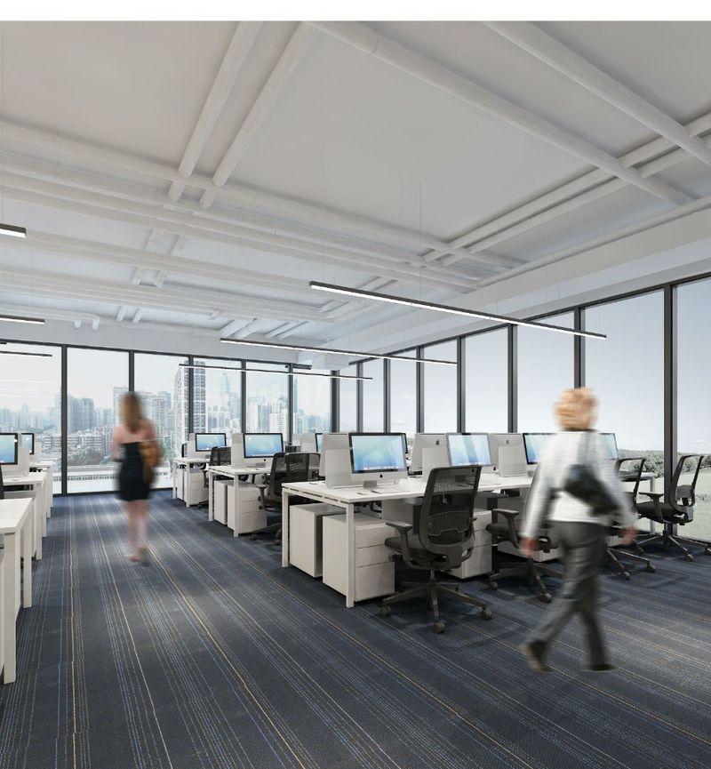 摩天之星加速器-20