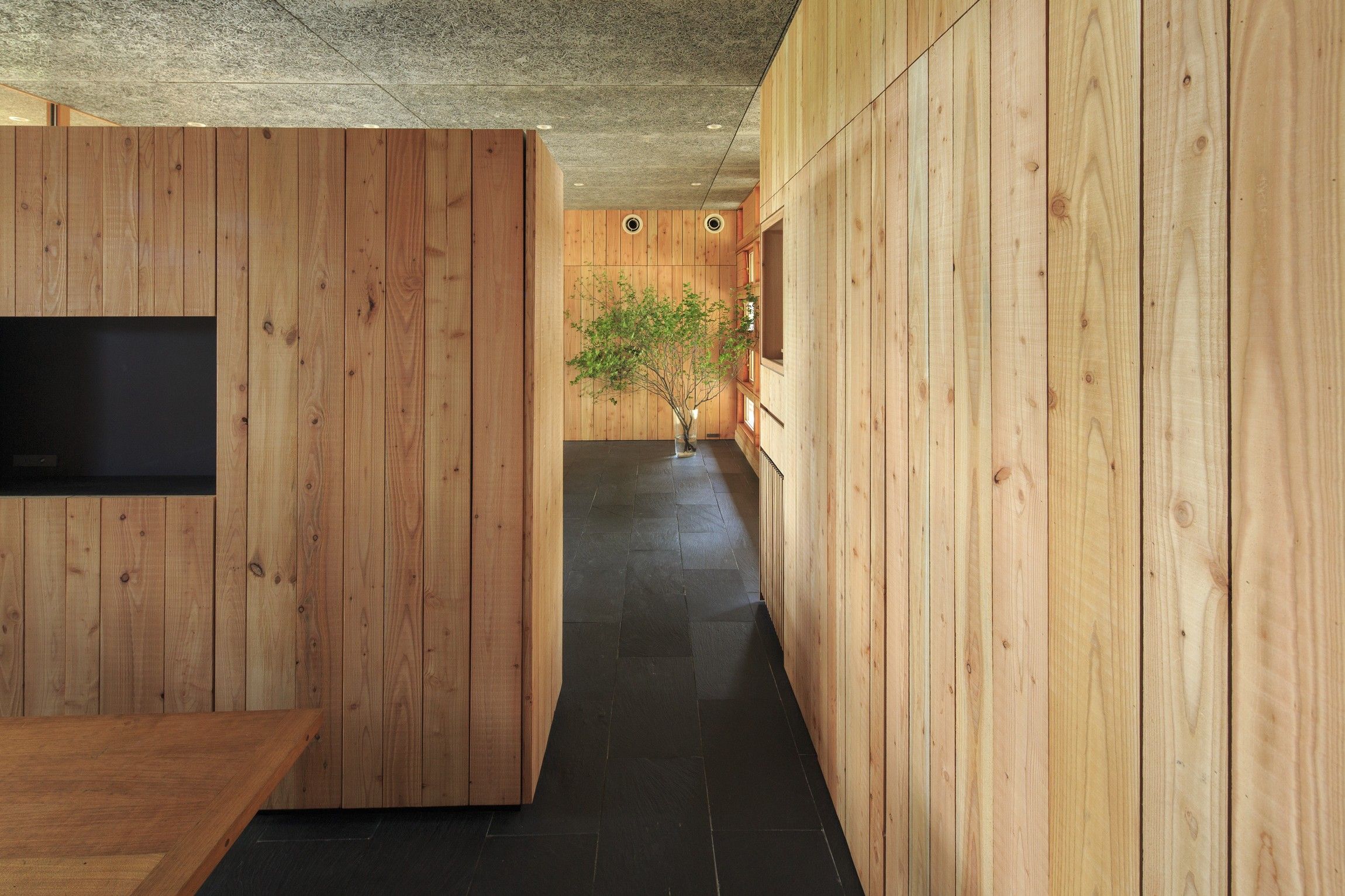 日本依豆 urasu 山间住宅,环保与自然的融合-42