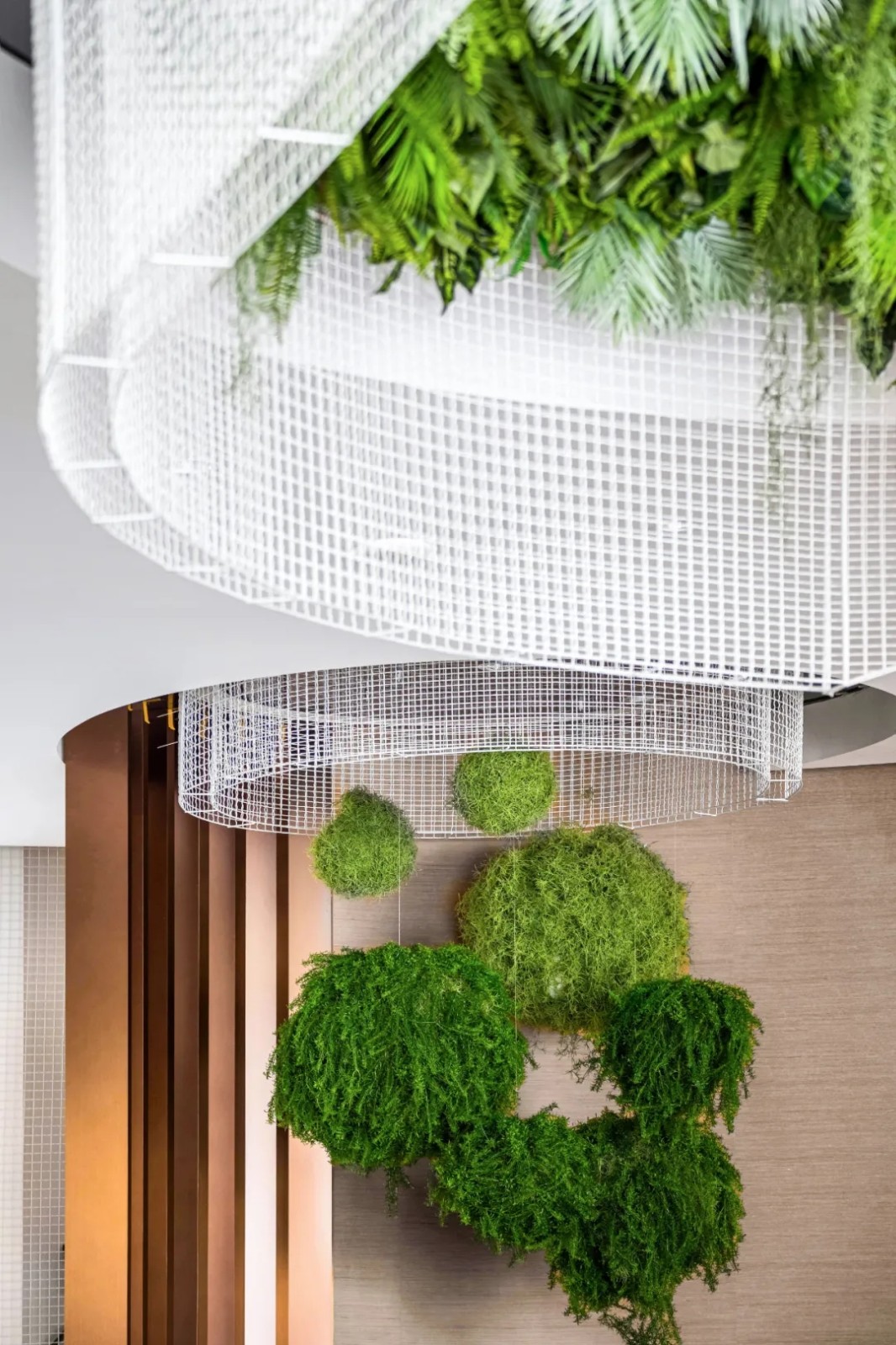 幻象森林,都市绿洲里的自然魅力-14