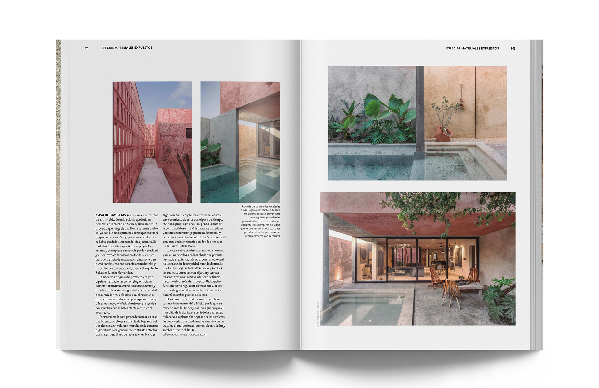 全球地方化第 61 号丨Andrea Flores-34