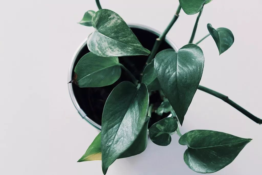 浮生灿烂又如何，只羡做个“逍遥仙”——「了忘谷民宿Ⅱ」-192