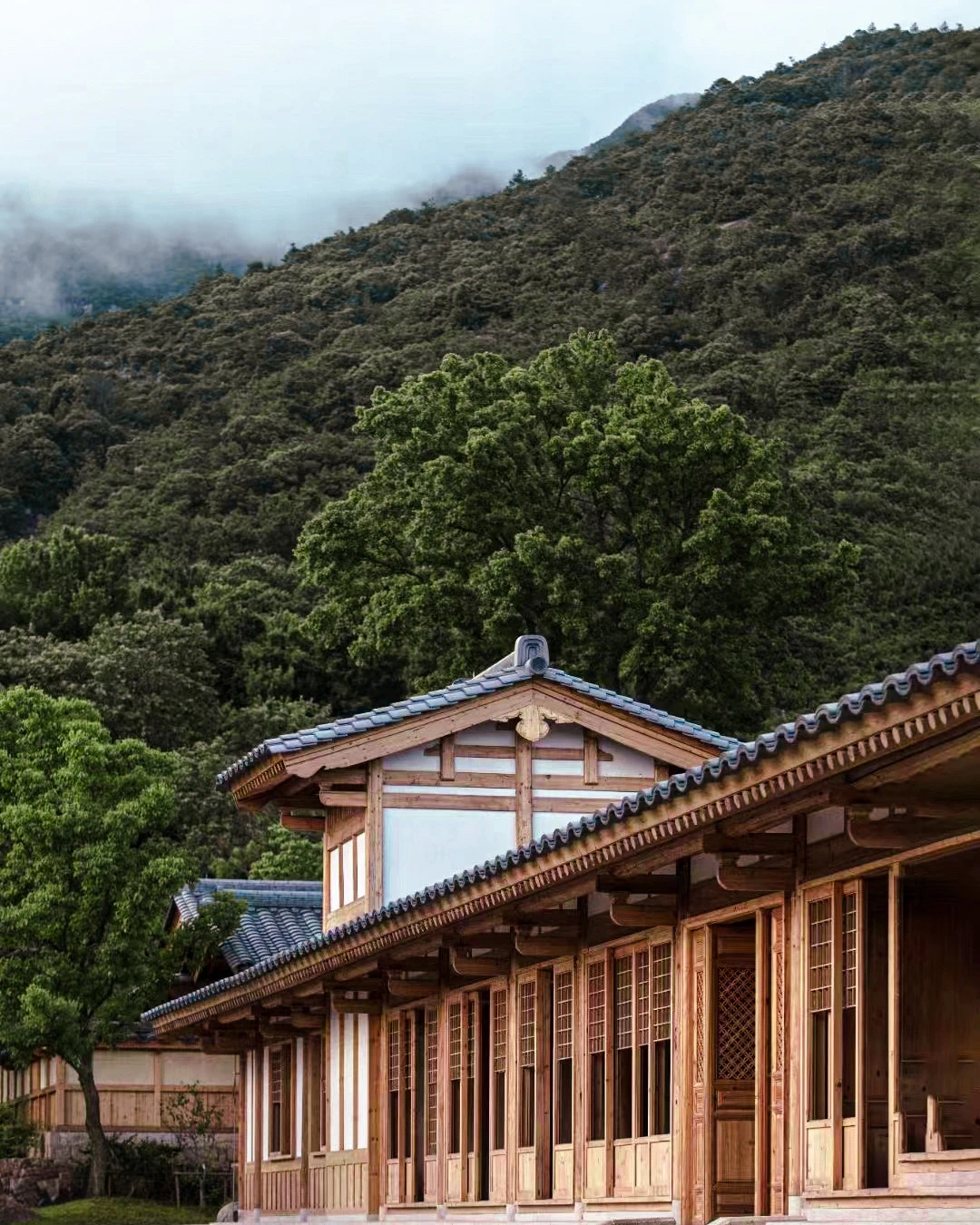 2025年国内50家重磅酒店丨中国上海丨Moinard Bētaille-120