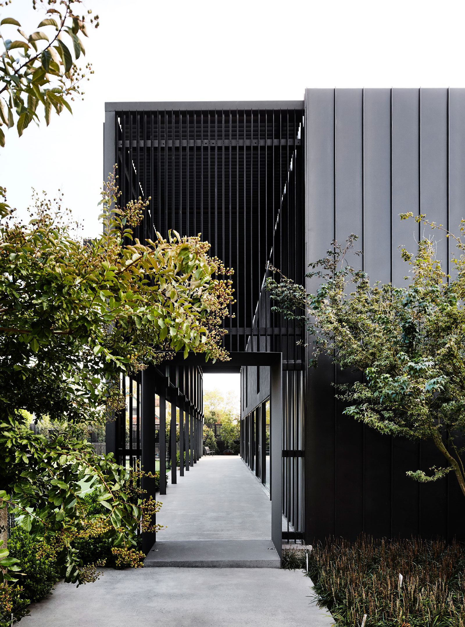 框架房屋丨澳大利亚丨Carr-2