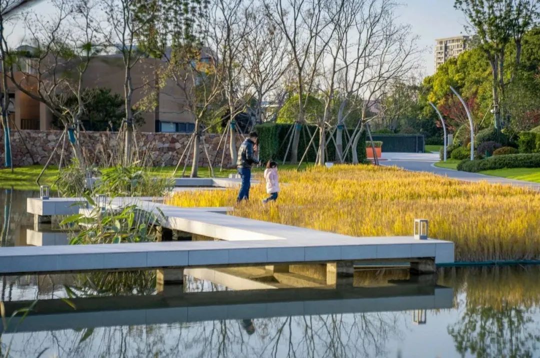 设计改变城市DNA | 上海之窗 · 智慧科学城-1