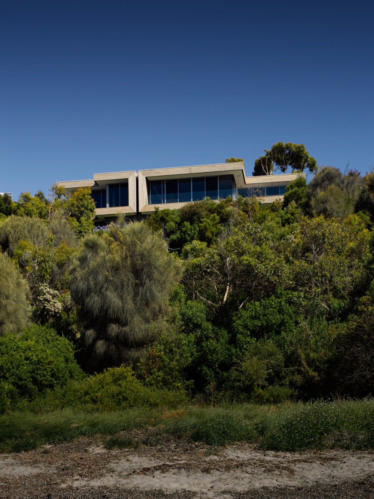 Spotted Gum Jolson Architecture-8