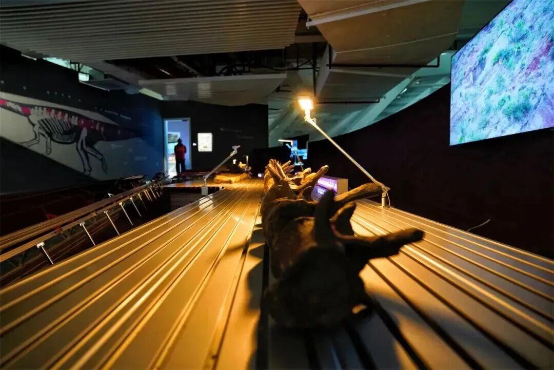 周末去哪玩？杭州新晋打卡地标来咯！-14