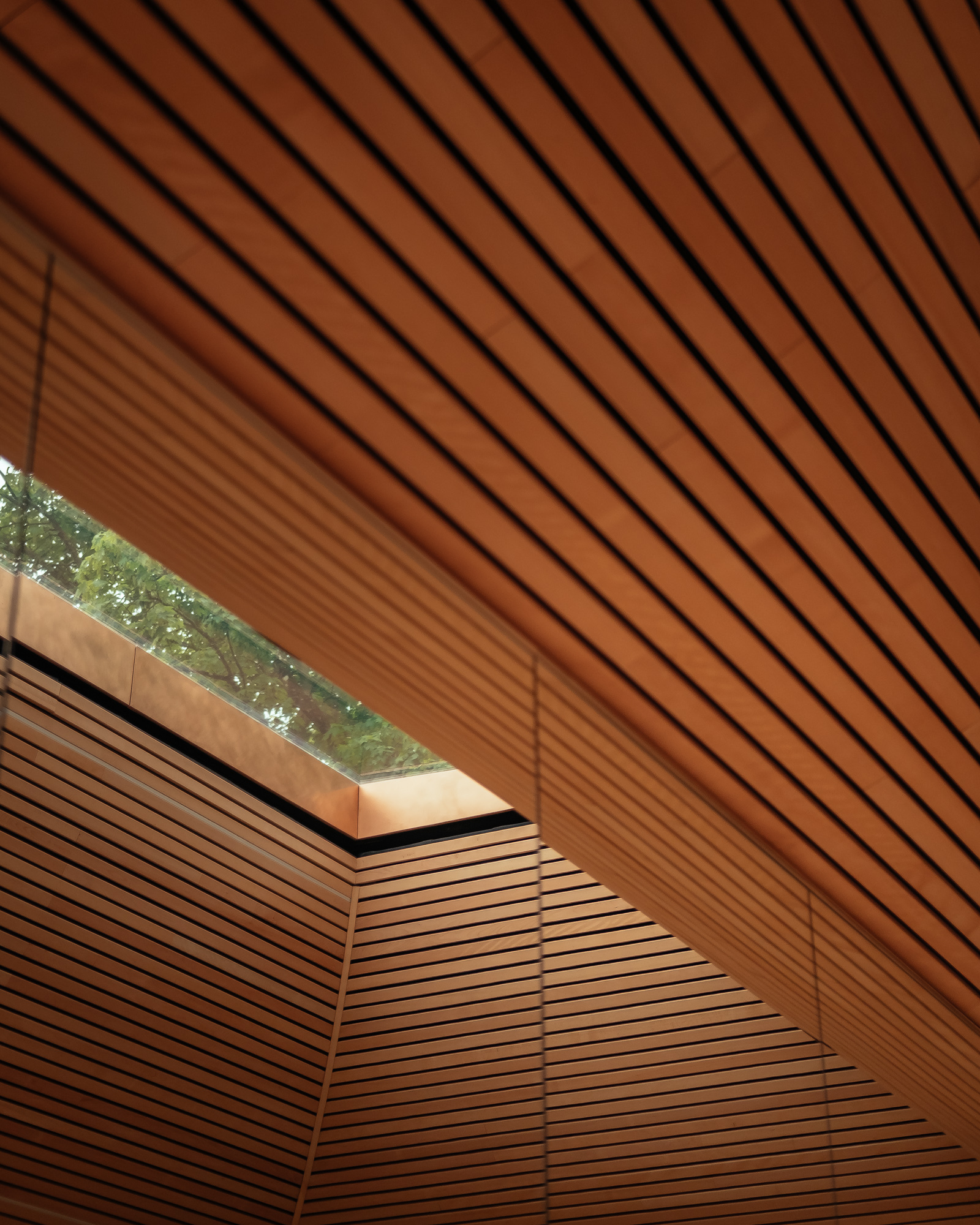 夯土瑜伽工作室丨英国丨Invisible Studio-14