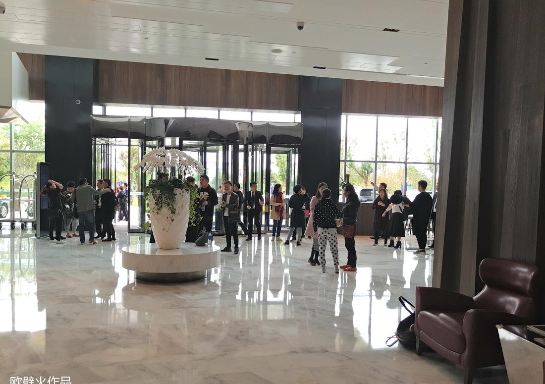 篝火仿真假火焰-18