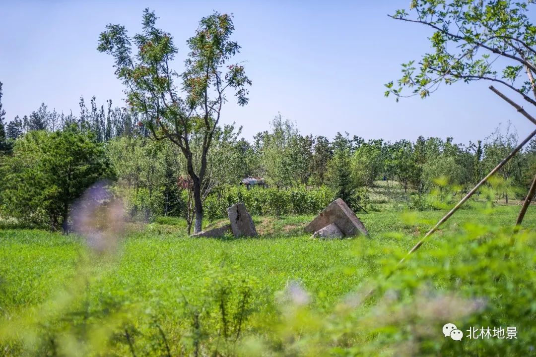 城市绿心 · 化工厂到生态绿核的修复设计丨中国北京丨北京北林地景园林规划设计院有限责任公司-76