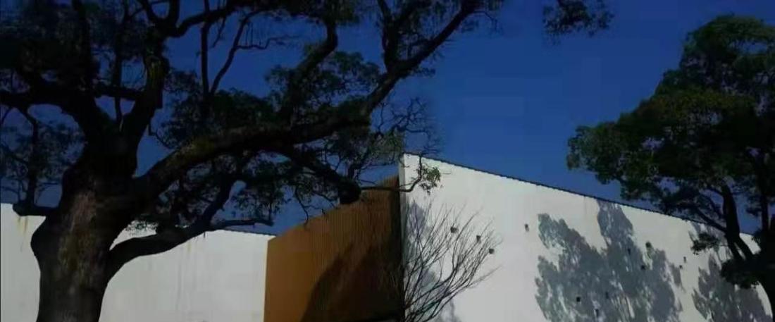 
参观江西庐山--归宗文化 -1