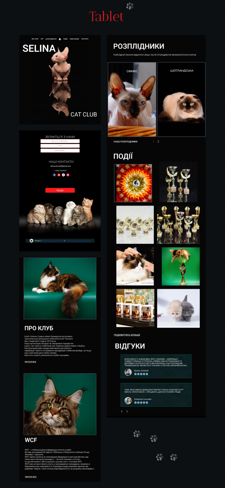 WEBSITE | SELINA CAT CLUB-5