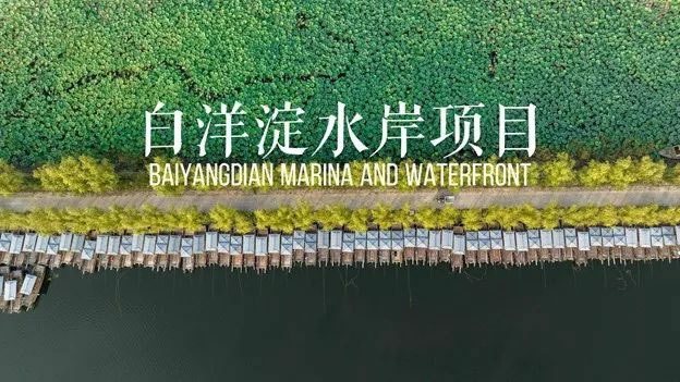 雄安白洋淀水岸公园景观设计丨TLS景观设计事务所-0