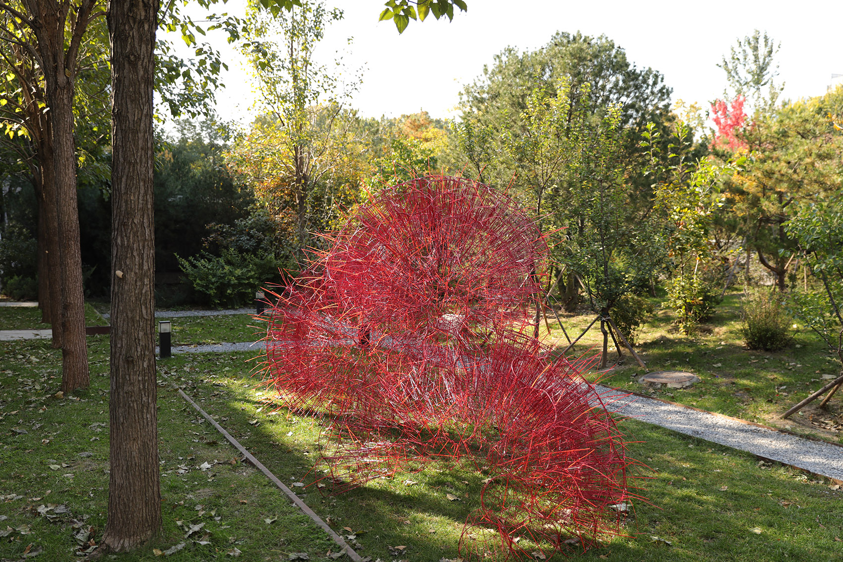 丹岩丨中国北京丨北京林业大学-6