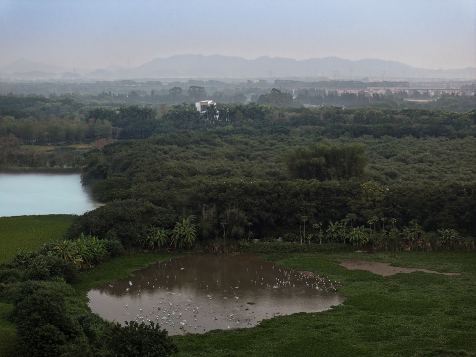 顺德云鹭湿地展厅景观设计丨中国佛山-28