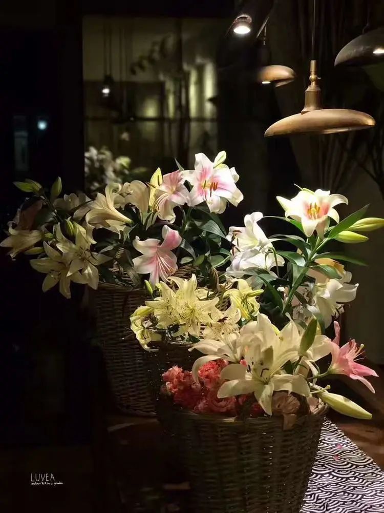 90后夫妻用4年时间,在魔都造了60平米花园,遛狗逗猫,好不惬意~-88