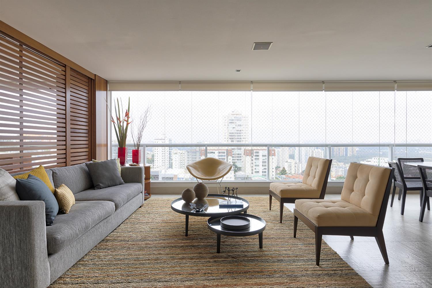 巴西圣保罗 Apê Rua Mário 公寓-2