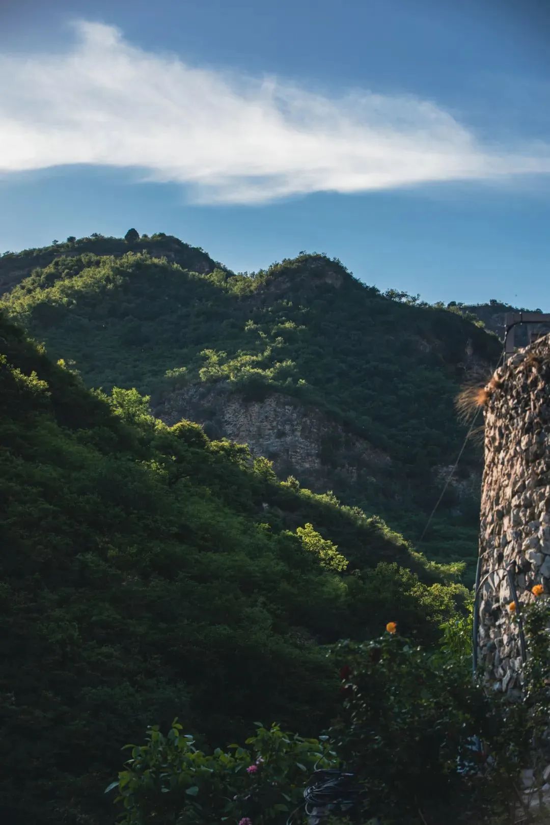 半步青山 · 温州时代公园私宅设计丨中国温州丨朗石设计-2