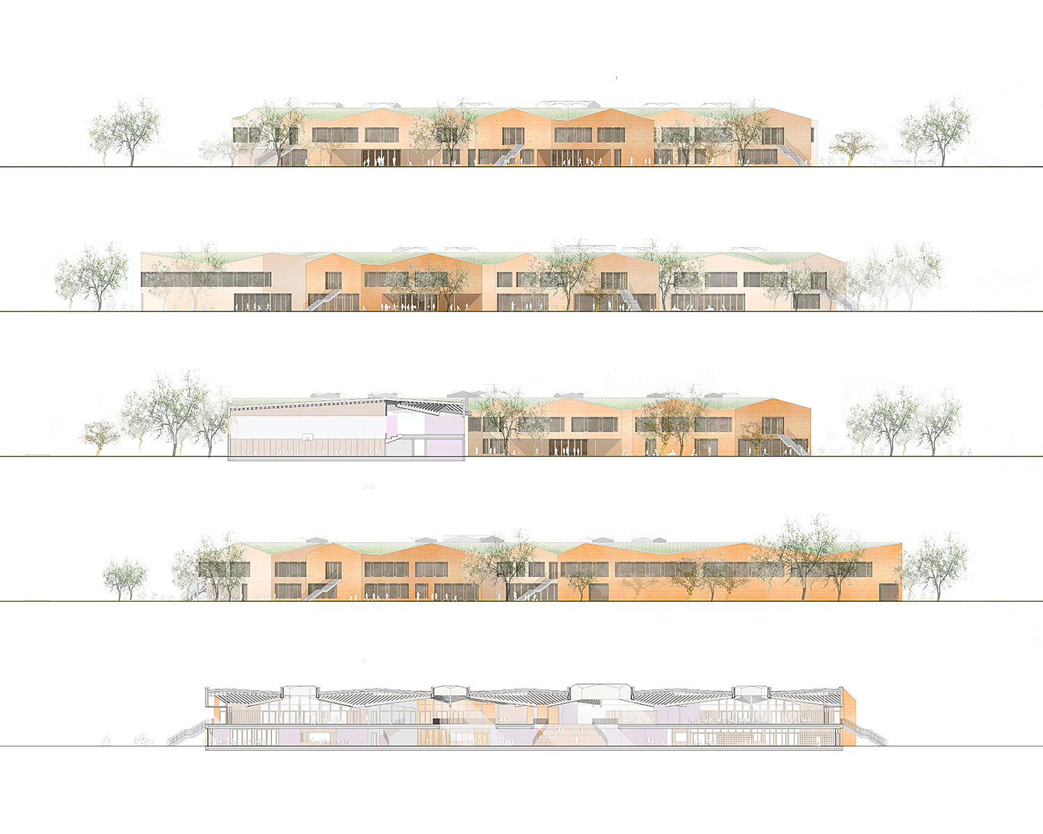 Schule am Kleinen See Eutin 新学校建设项目丨德国丨Mario Torres 等,景观 Nuwela 等-22