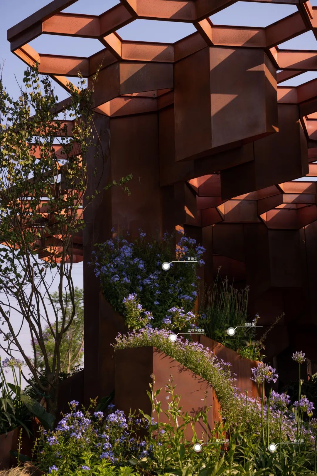 2023德阳市花月季展德阳园 | 齿轮花园-126