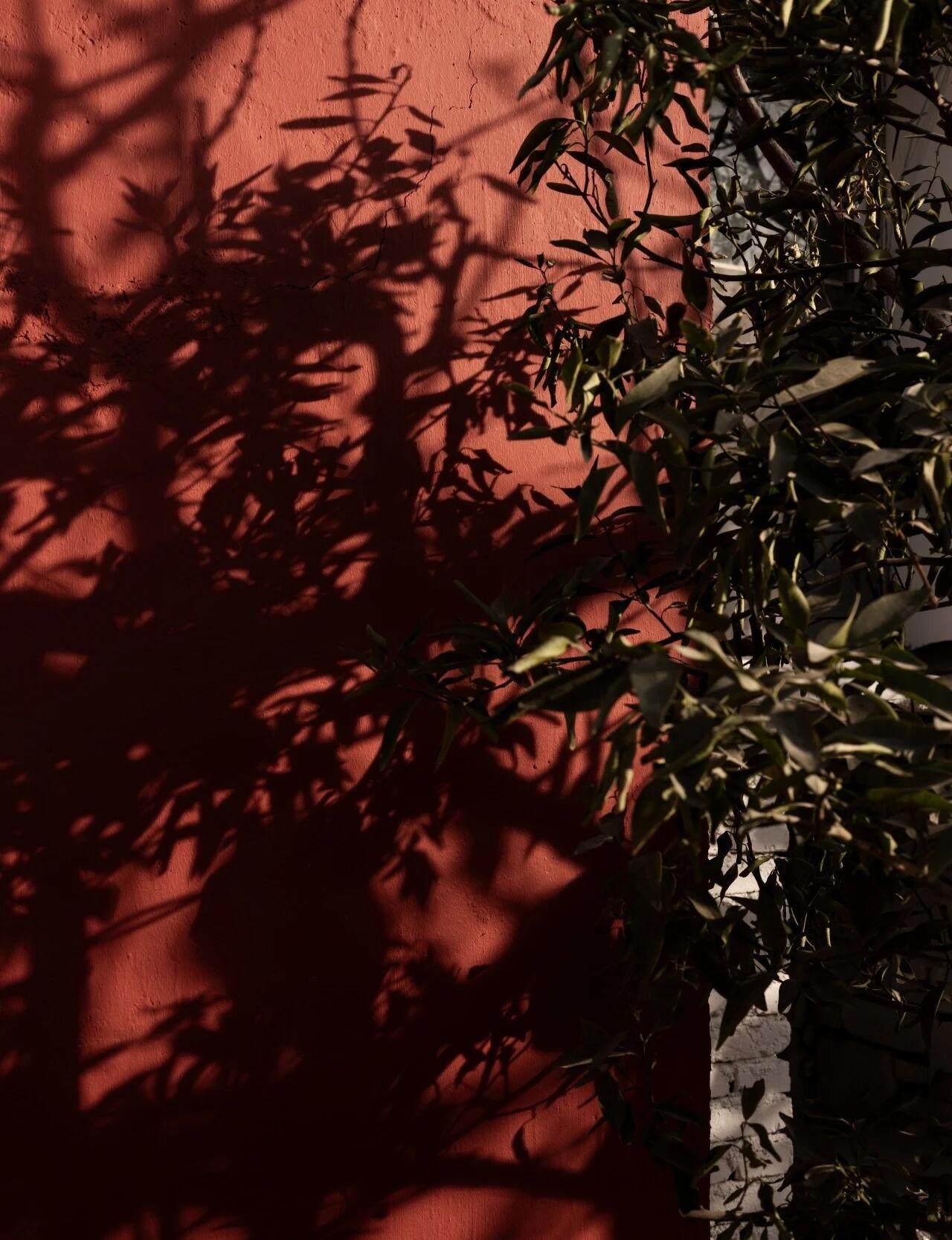 梦想改造家第十二季第十二期丨中国大连丨GID设计-12