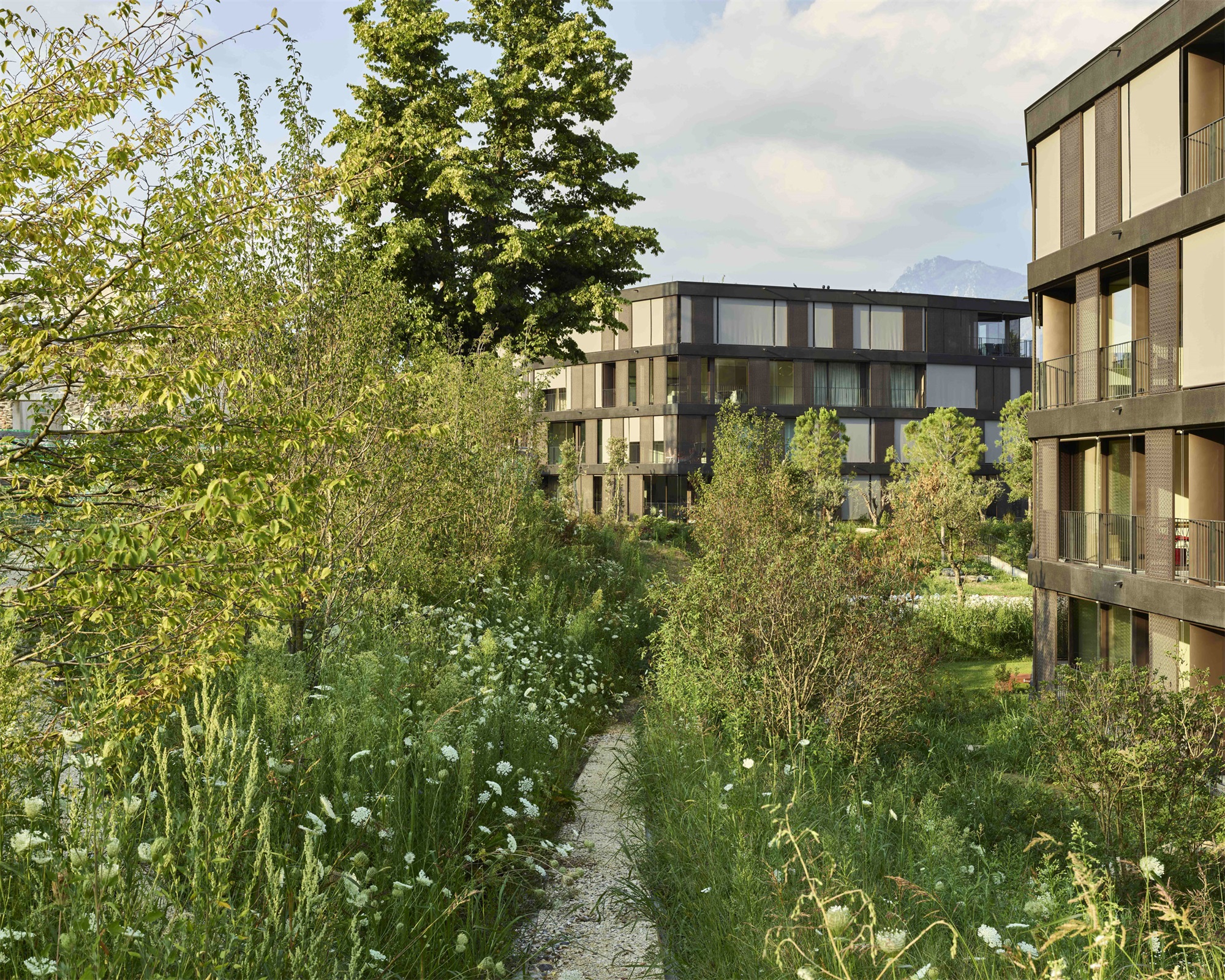 卡萨里科社区公园丨瑞士-37