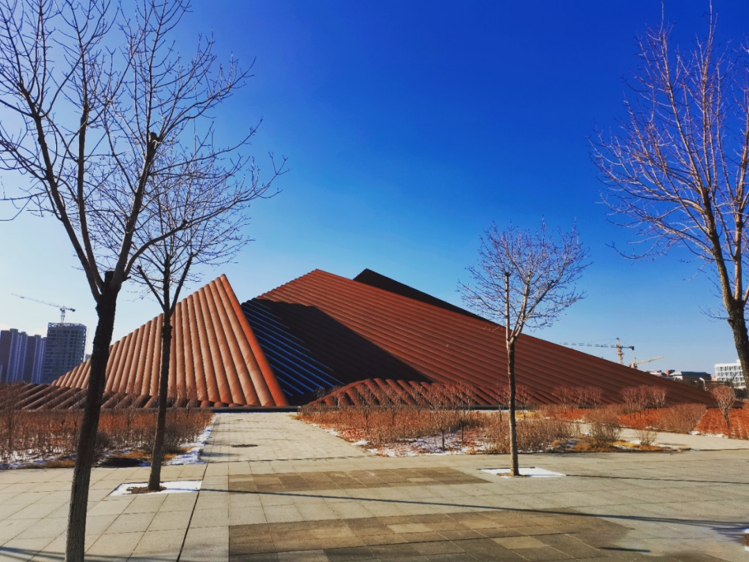 大同美术馆丨中国大同丨英国福斯特及合伙人建筑事务所,中国建筑设计院-30