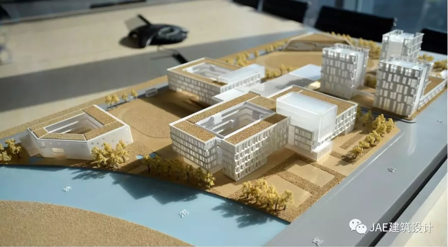 南京托马斯实验学校-37