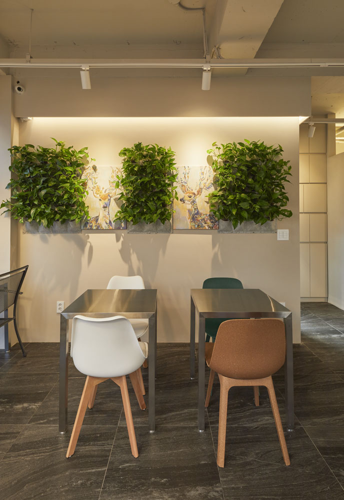 17 平韩式甜品店，明亮温馨的光影空间-10