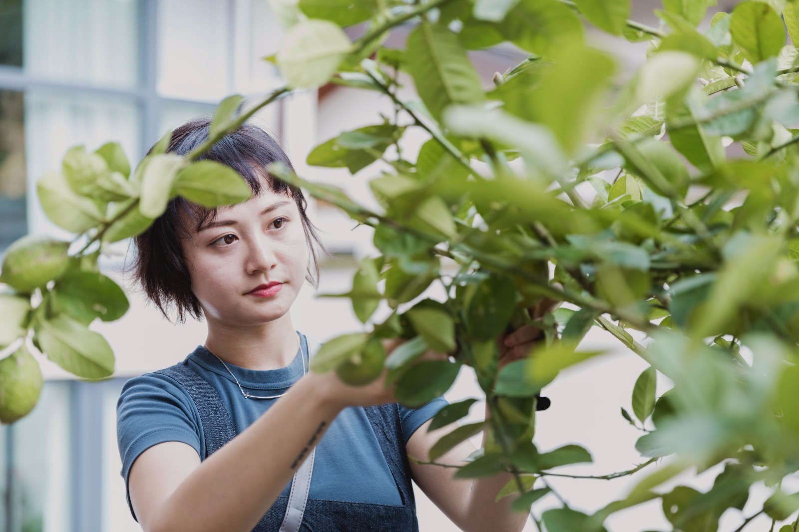 青城山房私人别墅-45