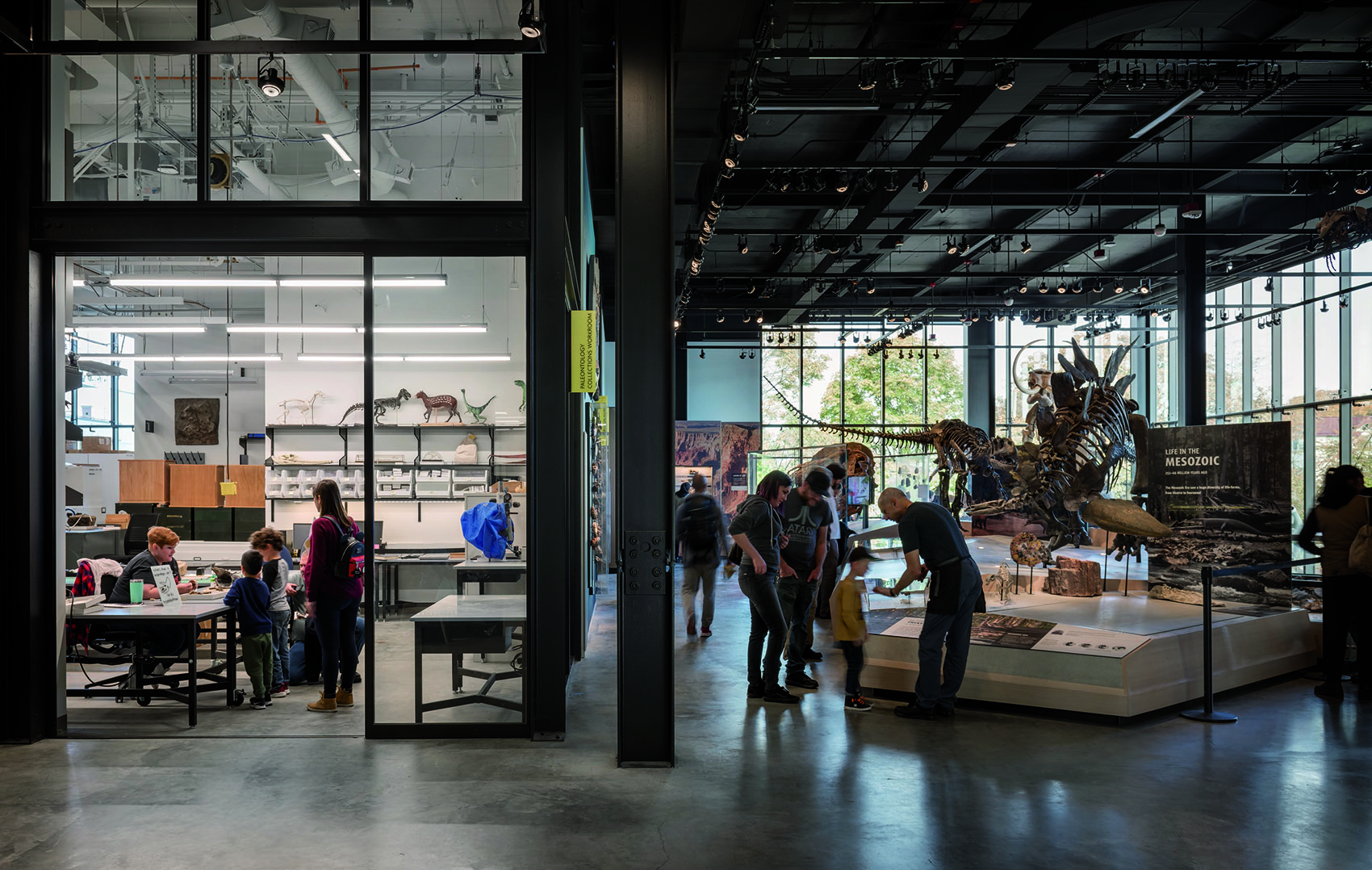 伯克自然历史文化博物馆,西雅图 / Olson Kundig Architects-54