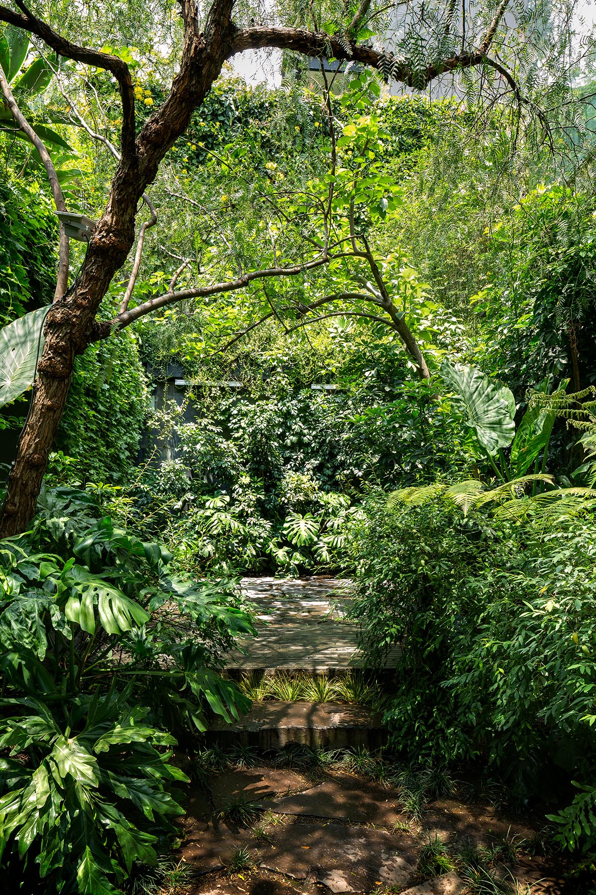 2014 年打造的美丽露台住宅-6