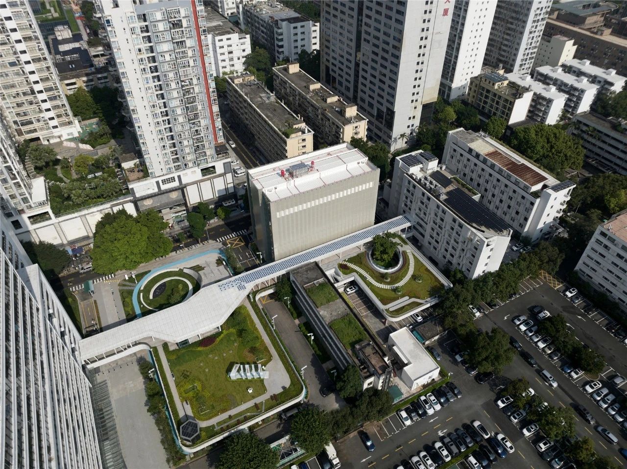 竹中诊所 - 温暖透明丨日本丨TSC Architects-198