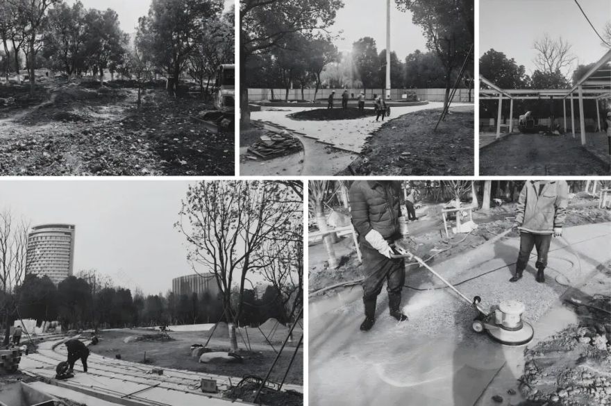 唤醒自然,天鹅重现—城市里的治愈系游园|园科作品-63