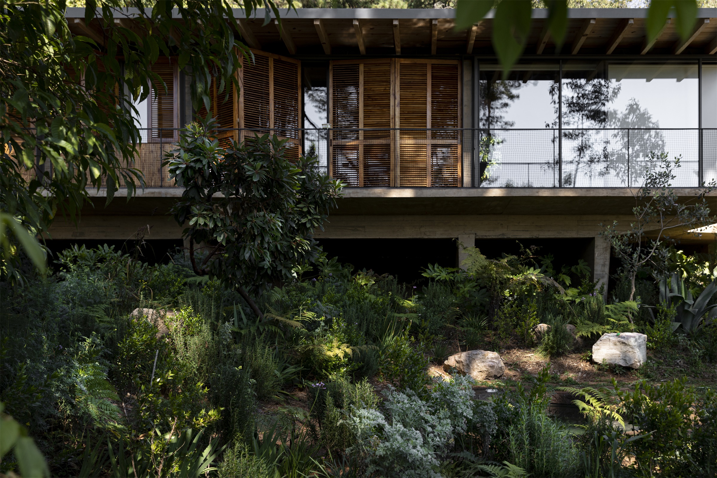 墨西哥森林花园-3