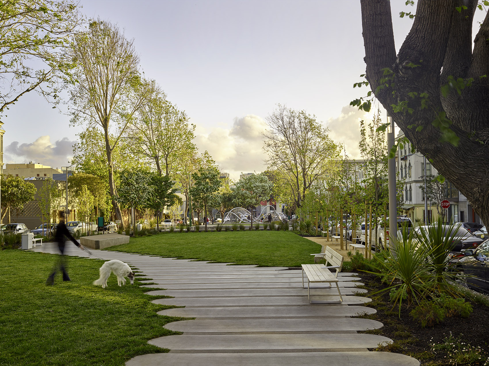 旧金山南花园 / Fletcher Studio-52