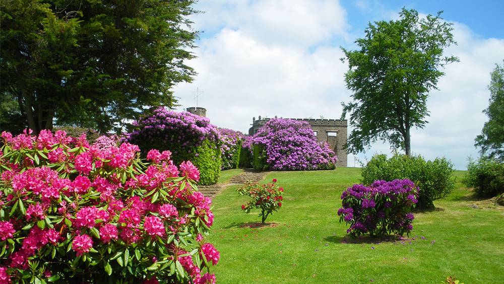 Le Mont de Cerisy - Cerisy-Belle-Etoile - Orne (61) - Normandie-4