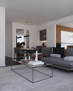 CIRRUS CONDO RENOVATION