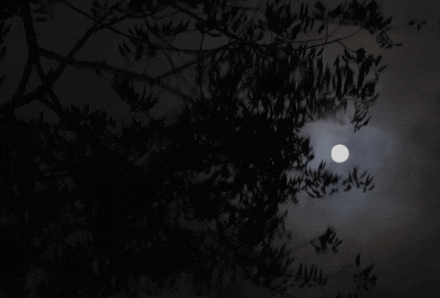 杭州自然美景工作室丨中国杭州丨余伟增,柴荣-130