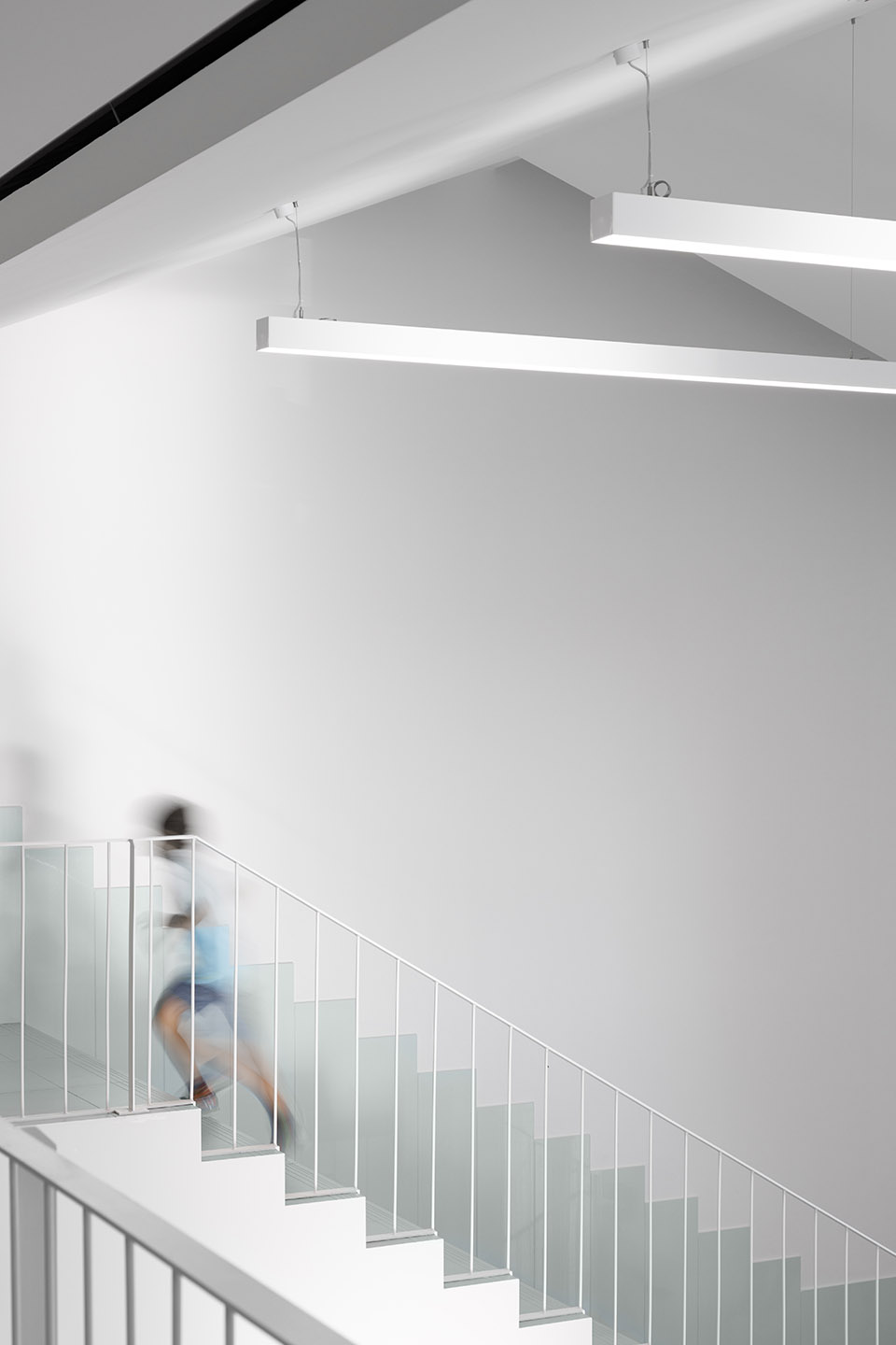 São Bernardo 小学丨葡萄牙丨ARTE TECTóNiCA-111