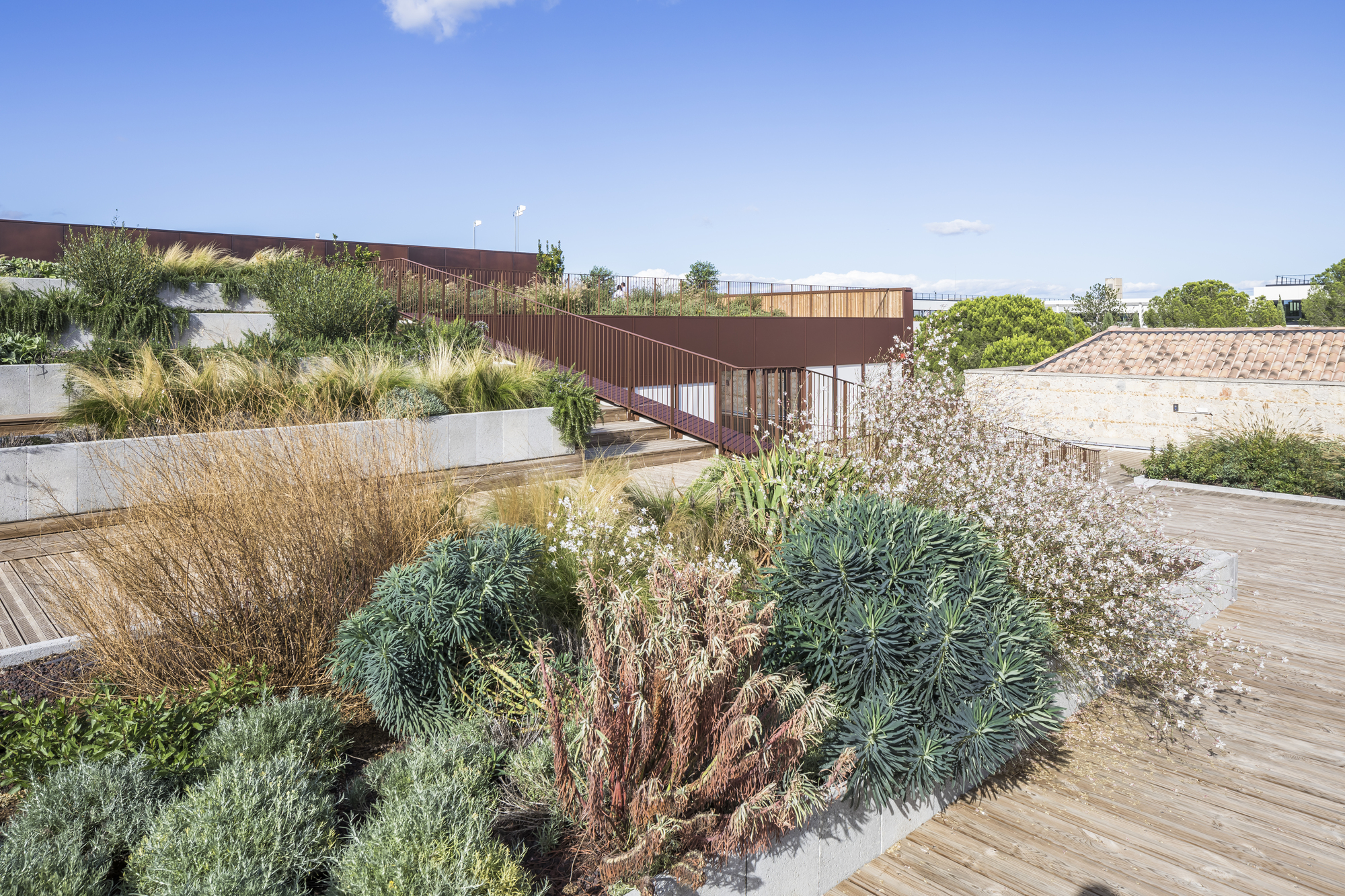 共享公司餐厅丨法国蒙彼利埃丨Brenac & Gonzalez & Associés-34