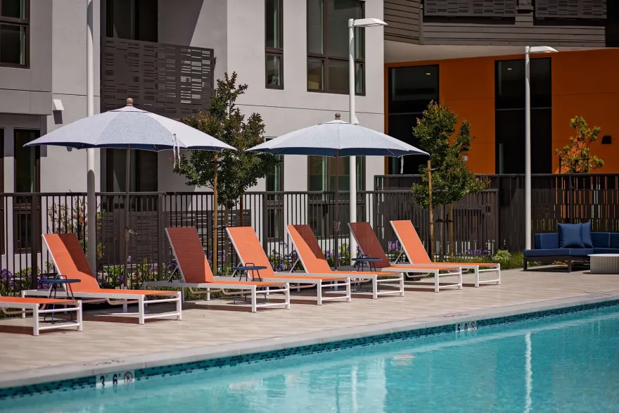 丨美国加利福尼亚-49