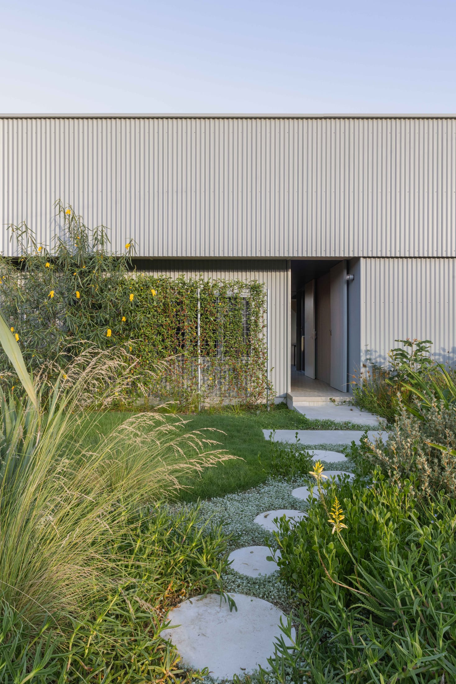 格雷博·

说明：由于Greybo可能是人名、品牌名等专有名词，这里按音译处理若有具体背景信息，可进一步优化翻译 丨澳大利亚新南威尔士丨Welsh + Major-0