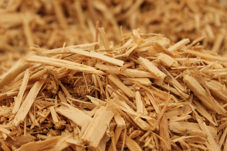 仙人掌挂钩(注:hanger常见有挂钩、衣架等意思,这里结合CACTUS推测为挂仙人掌的挂钩,如果有更具体语境,可能翻译更精准) 丨乌克兰基辅丨BNCD studio-9