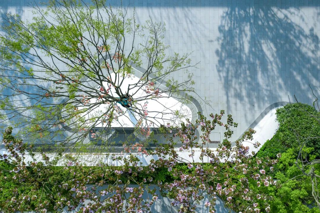  上海万境景观丨苏州 森屿湾栖 景观设计 丨中国苏州-72