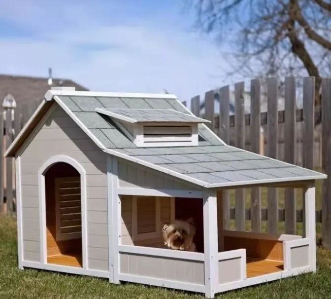 庭院宠物之家 | 打造宠物宜居的户外空间-37