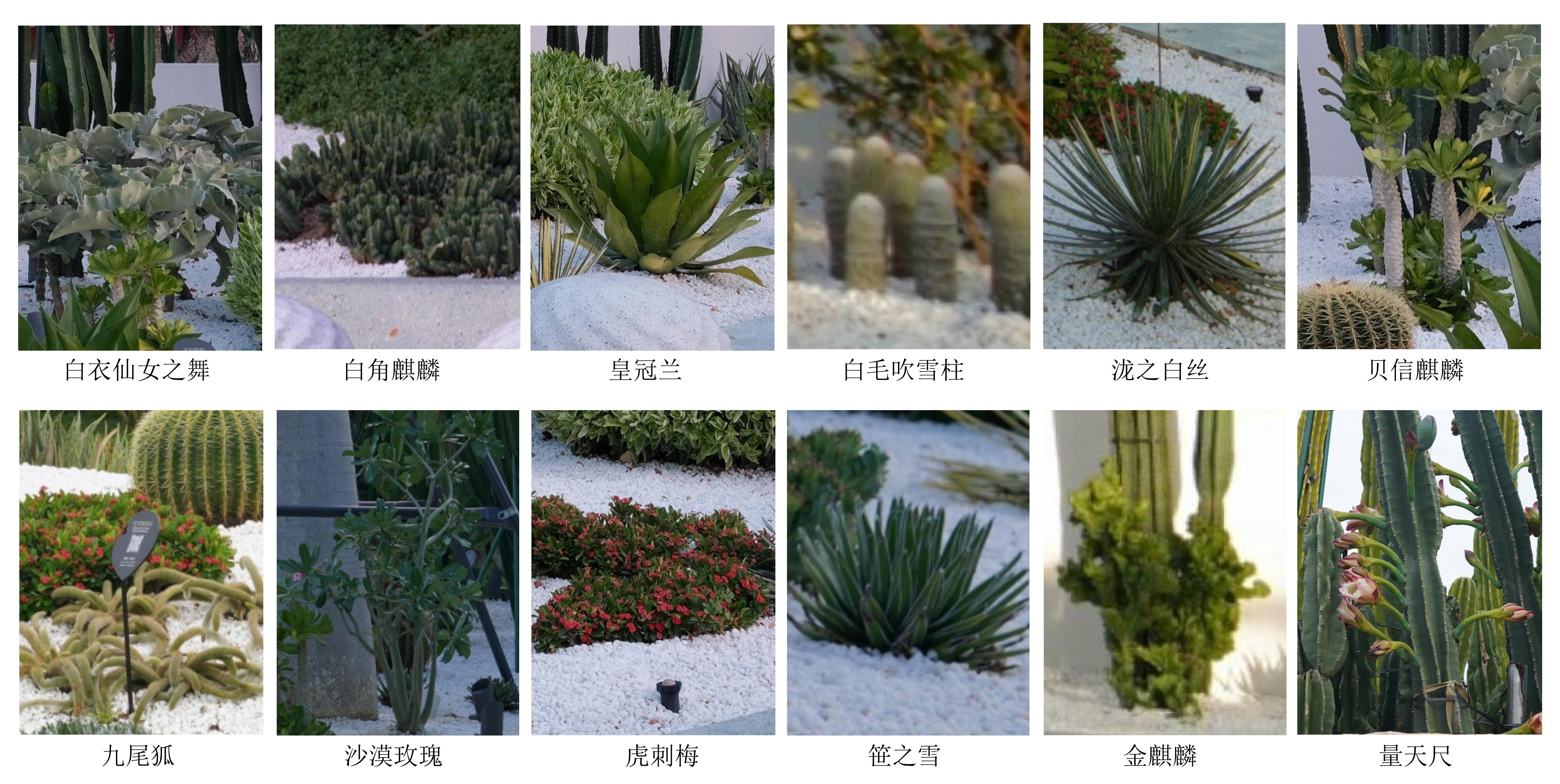 三亚海棠河生态公园（二期）·热带奇趣园丨中国三亚丨LOLA Landscape Architects B.V.-15